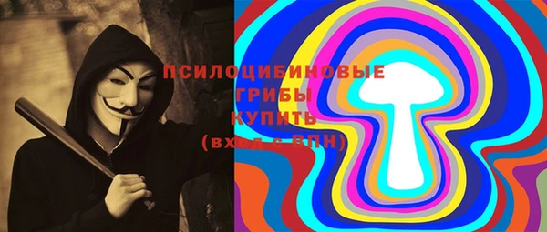 прущие грибы Дмитриев