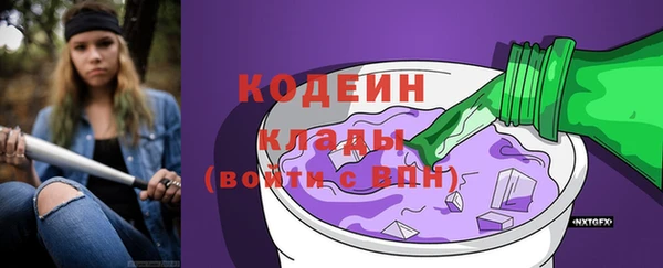 прущие грибы Дмитриев
