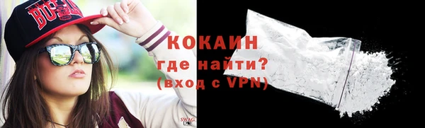 прущие грибы Дмитриев