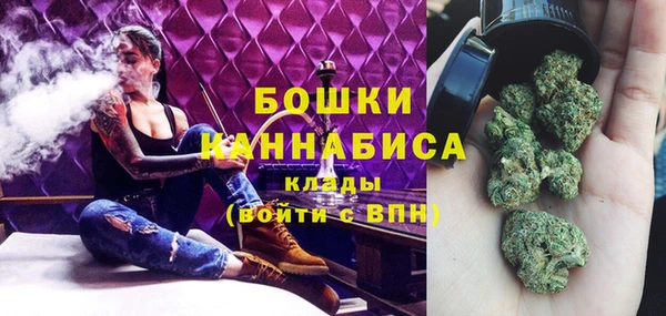 прущие грибы Дмитриев