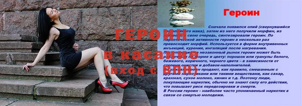 прущие грибы Дмитриев