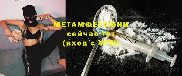 прущие грибы Дмитриев