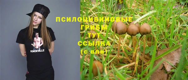 мяу мяу кристалл Елабуга