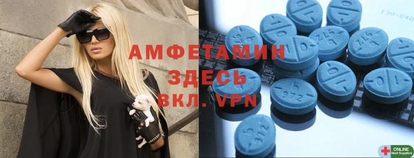 прущие грибы Дмитриев