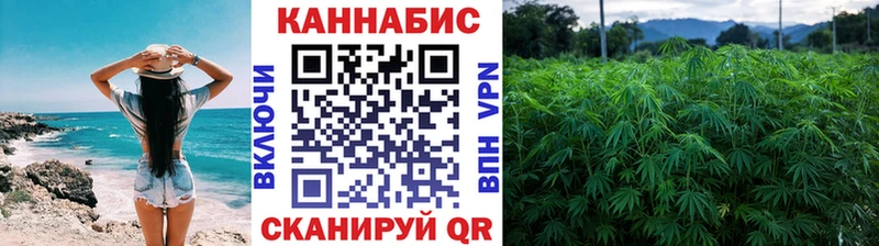 Купить где  Заполярный  Бошки марихуана план 